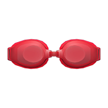 Load image into Gallery viewer, Goggles