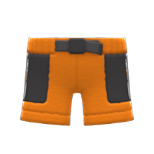 Load image into Gallery viewer, Boa Shorts