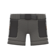 Load image into Gallery viewer, Boa Shorts