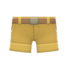 Load image into Gallery viewer, Explorer Shorts