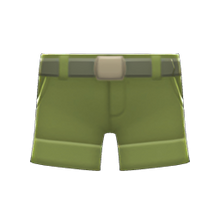 Load image into Gallery viewer, Explorer Shorts