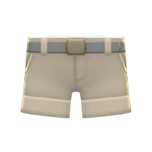 Load image into Gallery viewer, Explorer Shorts