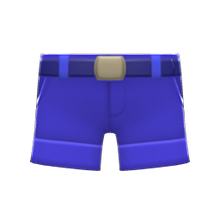 Load image into Gallery viewer, Explorer Shorts