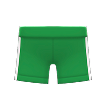 Load image into Gallery viewer, Athletic Shorts