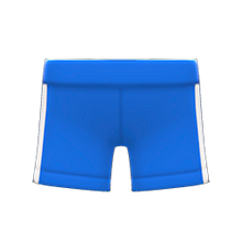 Load image into Gallery viewer, Athletic Shorts