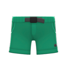 Load image into Gallery viewer, Outdoor Shorts