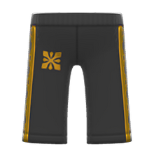 Load image into Gallery viewer, Dance Warm-Up Pants