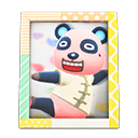 Load image into Gallery viewer, Chow'S Photo