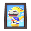 Load image into Gallery viewer, Coach'S Photo