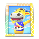 Load image into Gallery viewer, Coach'S Photo