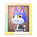 Load image into Gallery viewer, Tom'S Photo