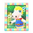 Load image into Gallery viewer, Colton'S Photo