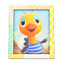 Load image into Gallery viewer, Sandy'S Photo