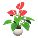 Load image into Gallery viewer, Anthurium Plant