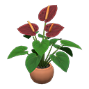 Load image into Gallery viewer, Anthurium Plant
