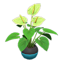 Load image into Gallery viewer, Anthurium Plant
