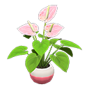 Load image into Gallery viewer, Anthurium Plant
