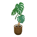 Load image into Gallery viewer, Monstera