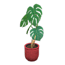 Load image into Gallery viewer, Monstera