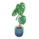 Load image into Gallery viewer, Monstera