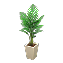 Load image into Gallery viewer, Fan Palm