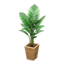 Load image into Gallery viewer, Fan Palm