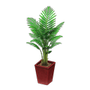 Load image into Gallery viewer, Fan Palm