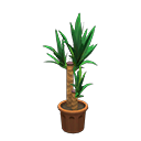 Load image into Gallery viewer, Yucca