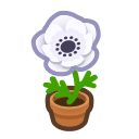 Load image into Gallery viewer, White Windflower