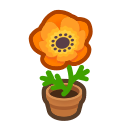 Load image into Gallery viewer, Orange Windflower