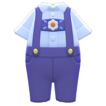 Load image into Gallery viewer, Alpinist Overalls