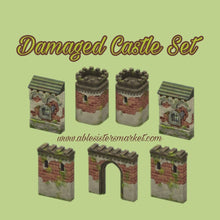 Load image into Gallery viewer, Damaged Castle Set