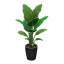 Load image into Gallery viewer, bird-of-paradise
