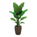 Load image into Gallery viewer, bird-of-paradise
