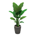 Load image into Gallery viewer, bird-of-paradise
