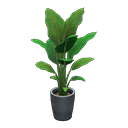 Load image into Gallery viewer, bird-of-paradise
