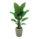 Load image into Gallery viewer, bird-of-paradise
