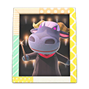 Load image into Gallery viewer, Rodeo&#39;S Photo

