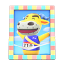 Load image into Gallery viewer, Coach&#39;S Photo
