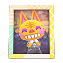 Load image into Gallery viewer, Tabby&#39;S Photo
