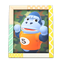 Load image into Gallery viewer, Peewee&#39;S Photo
