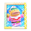Load image into Gallery viewer, Rocket&#39;S Photo
