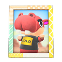 Load image into Gallery viewer, Biff&#39;S Photo
