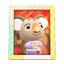 Load image into Gallery viewer, Ozzie&#39;S Photo
