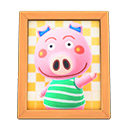 Curly'S Photo