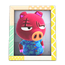 Load image into Gallery viewer, Rasher&#39;S Photo
