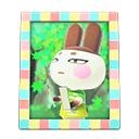 Load image into Gallery viewer, Genji&#39;S Photo
