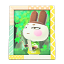 Load image into Gallery viewer, Genji&#39;S Photo
