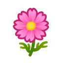 Load image into Gallery viewer, Pink Cosmos
