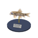 Nibble Fish Model